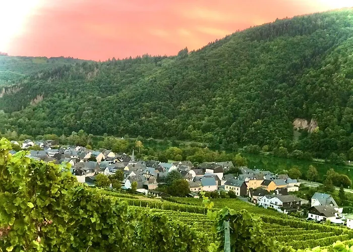 Hotel Weingut Dehren